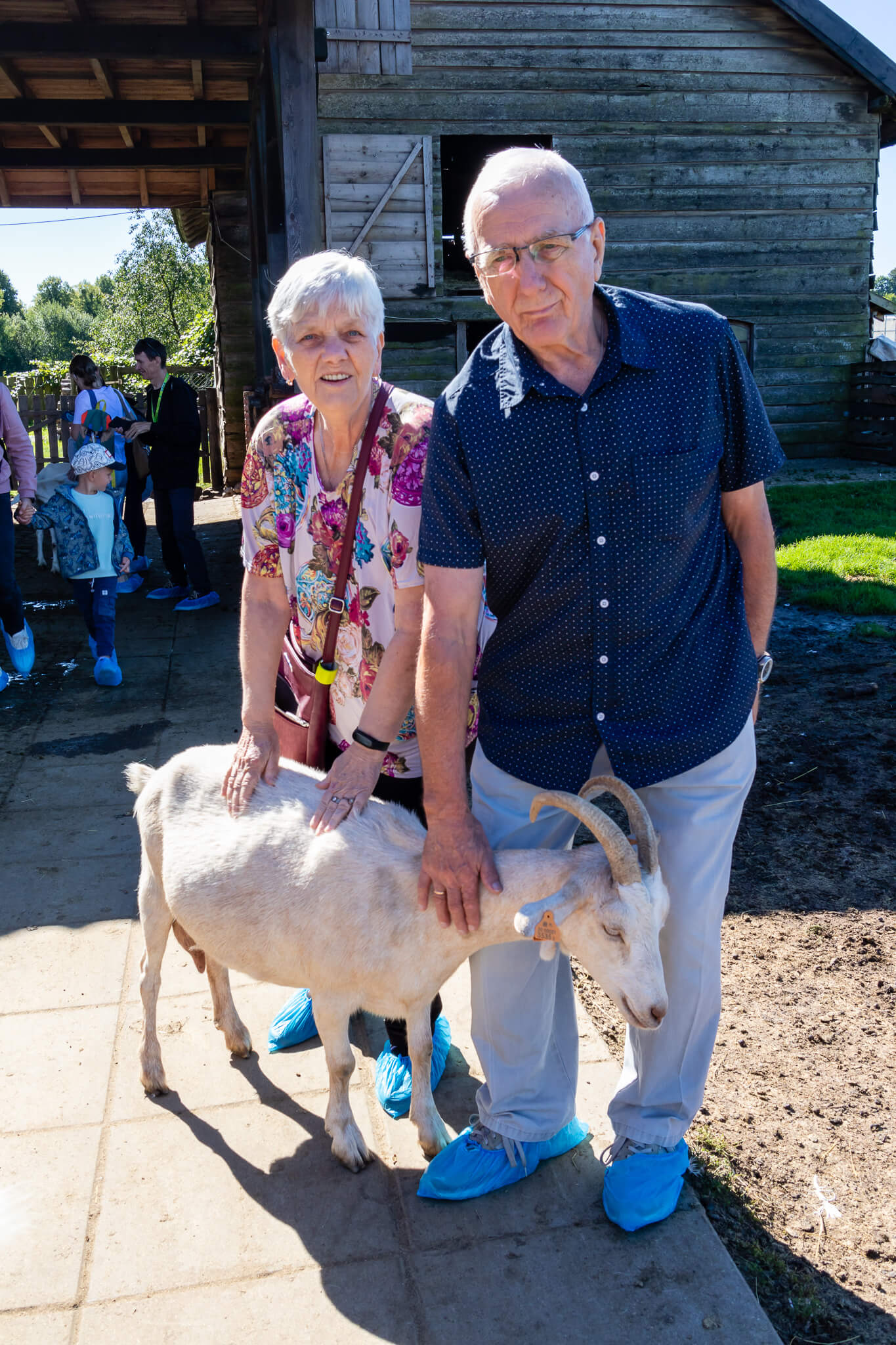 Starsza kobieta oraz starszy mężczyzna głaszczą kozę
